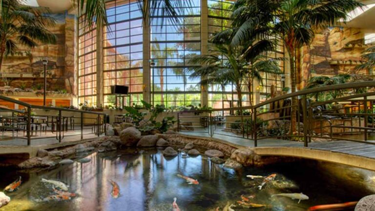 arizona biltmore estates area upscale lifestyles geodirectory2 hotels embassy suites koi pond 960x540 1 768x432